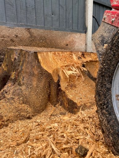 Stump Grinding 